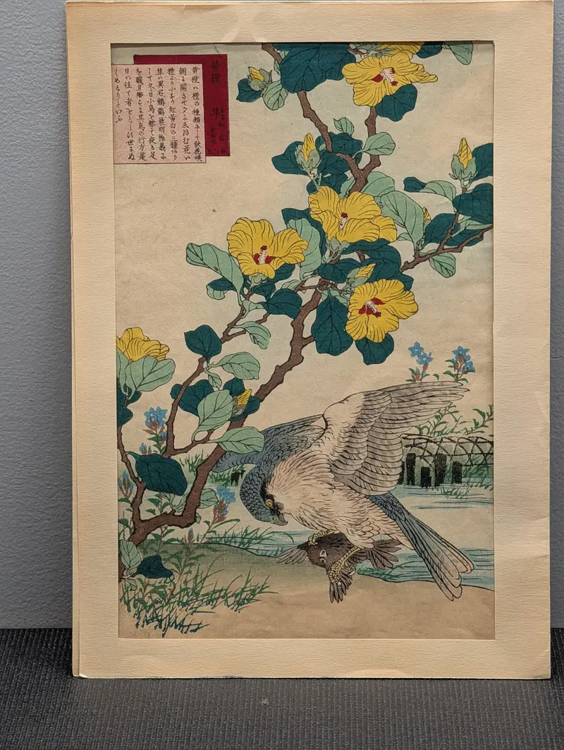 1883 Japanese Woodblock Print By Kono Bairei: 'Yellow Hibiscus And Falcon' – From Flower And Bird Album 1