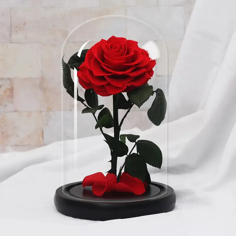 Elegant Glass-Dome Red Rose Decor – Beauty And The Beast–Inspired Table Accent For Valentine’S Day Or Birthday Gifting 4
