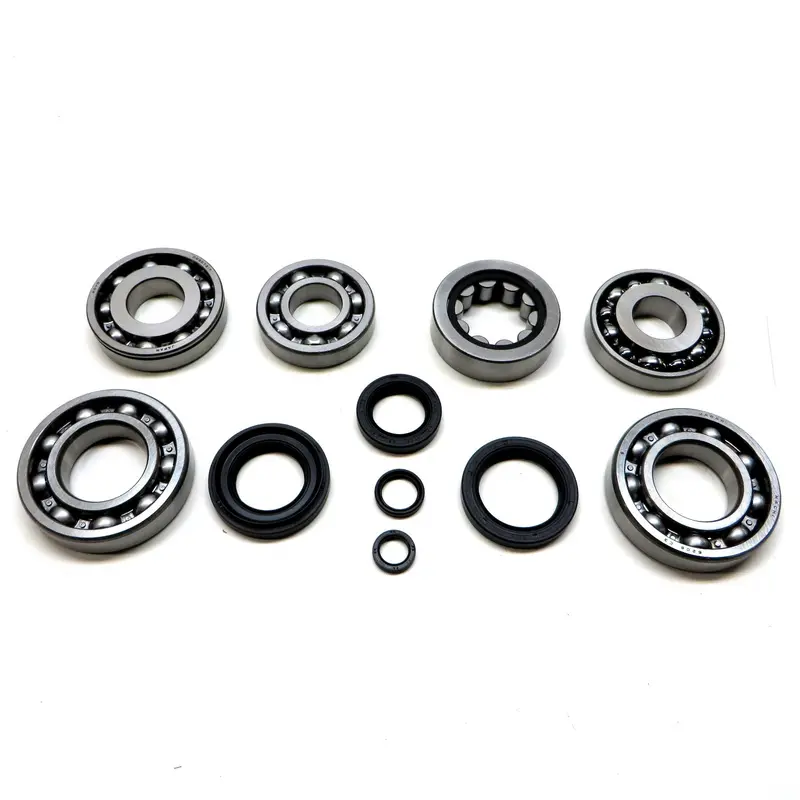 Nrh3 / Pnn / Pnsa / Psa4 / Spnm / Sy1M / Zfj3 / Zgm3 / Z2M4 Bearing And Seal Kit 1