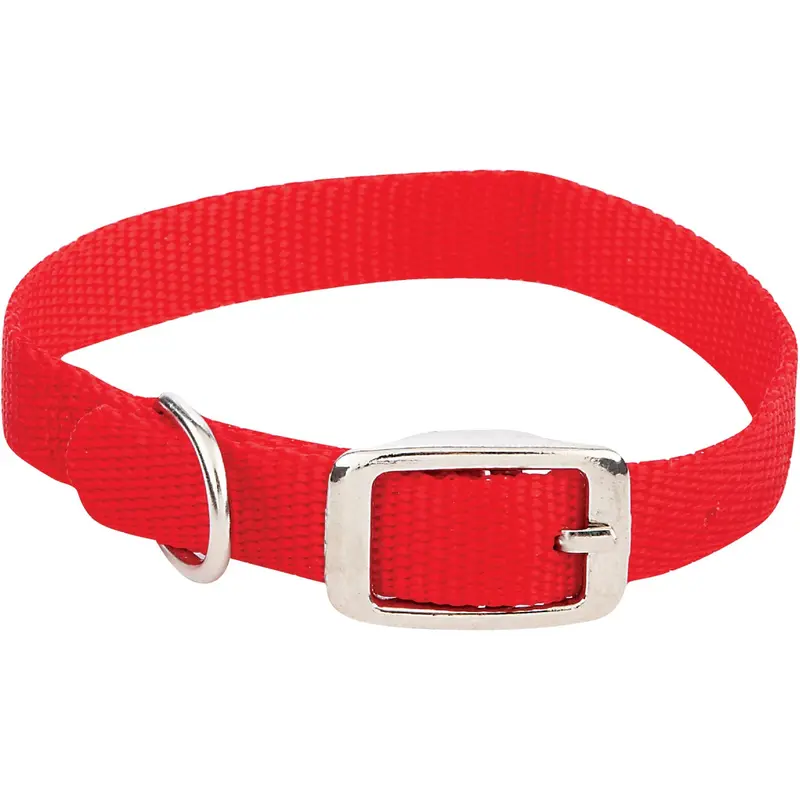 Westminster Pet Adjustable Nylon Dog Collar – 14 In Length, Comfort-Fit Design 1